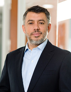 Gonzalo Meneses Zorrilla